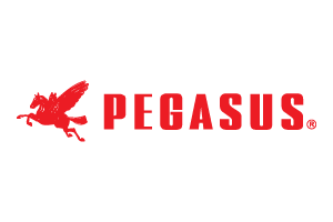 PEGASUS
